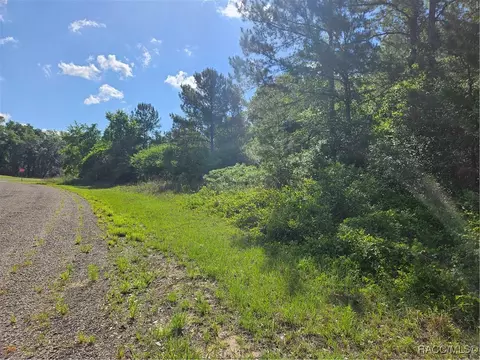 622 E Abady Ln, Citrus Springs, FL 34434