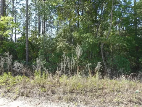 L 43 SW 51st Lane, Dunnellon, FL 34432