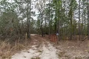 3057 W Scooter Ln, Dunnellon, FL 34433