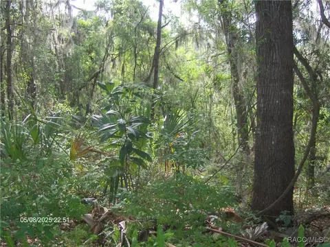 Other - 3150 E Sweet Meadow Ct, Hernando, FL 34442 photo 2 of 6