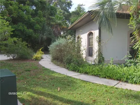 Exterior - 3150 E Sweet Meadow Ct, Hernando, FL 34442 photo 5 of 32