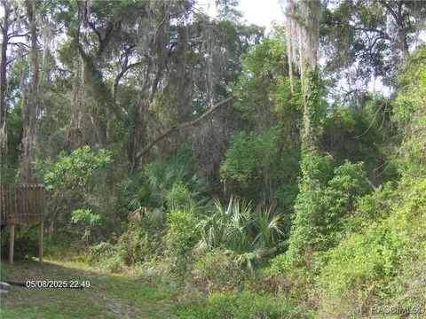 Exterior - 3150 E Sweet Meadow Ct, Hernando, FL 34442 photo 12 of 32