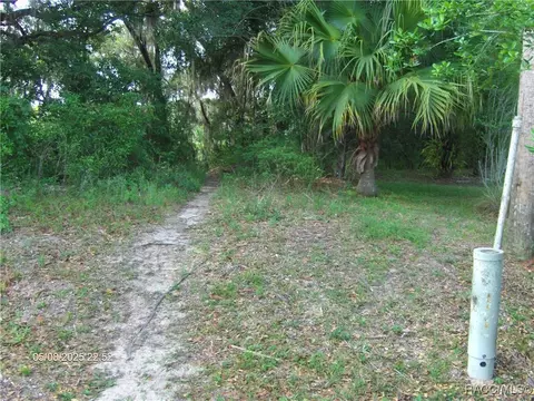 Exterior - 3150 E Sweet Meadow Ct, Hernando, FL 34442 photo 23 of 32