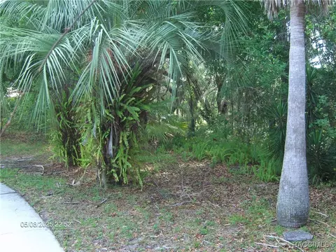 Exterior - 3150 E Sweet Meadow Ct, Hernando, FL 34442 photo 21 of 32
