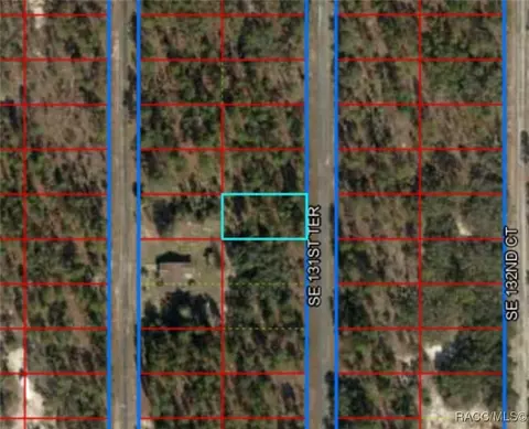 lot9 SE 131st Ter, Dunnellon, FL 34431