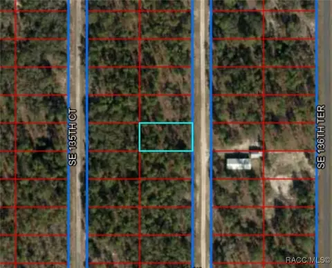 lot14 SE 136th Ave, Dunnellon, FL 34431
