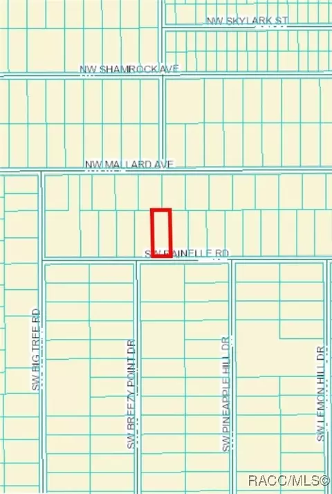 lot20 SW Rainelle Rd, Dunnellon, FL 34431
