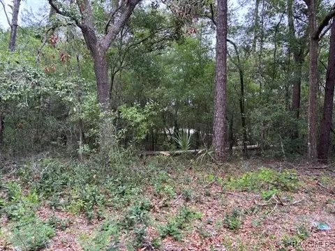 8937 N Cortlandt Dr, Citrus Springs, FL 34434