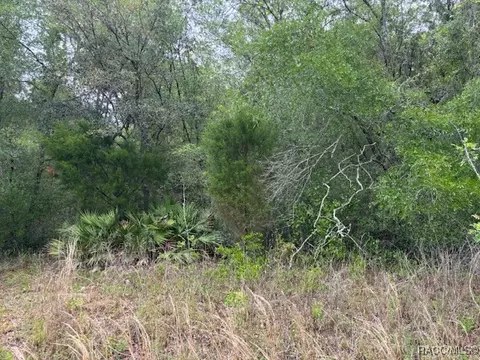 93 N Croft Ave, Inverness, FL 34453