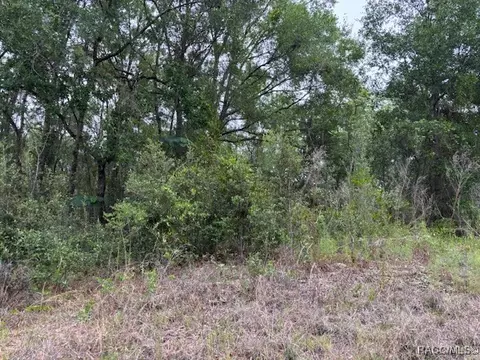 6717 E Gentry St, Inverness, FL 34452