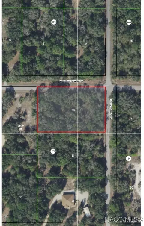 9912 N Burr Oak Ter, Crystal River, FL 34428