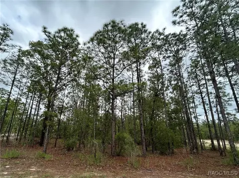 0 Mellon Rd, Weeki Wachee, FL 34614