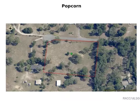 1502 N Popcorn Pt, Inverness, FL 34453