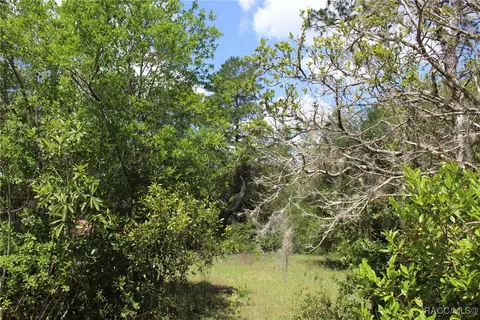 5235 W Gail Ln, Dunnellon, FL 34433 photo 21