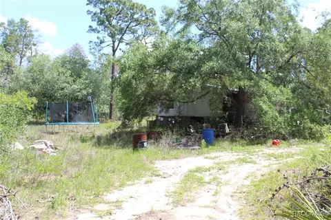5235 W Gail Ln, Dunnellon, FL 34433 photo 9