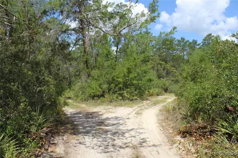 5235 W Gail Ln, Dunnellon, FL 34433 photo 26