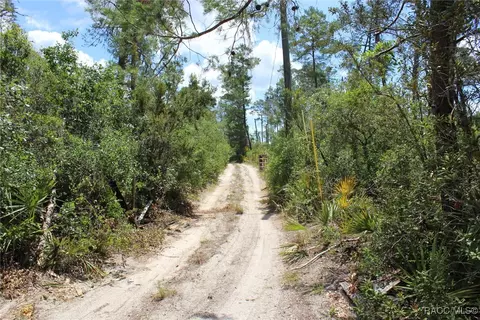5235 W Gail Ln, Dunnellon, FL 34433 photo 2