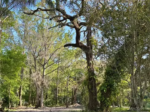 10600 W And 10603 W Oliver St, Homosassa, FL 34448