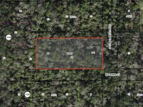 10427 W Dunn St, Homosassa, FL 34448