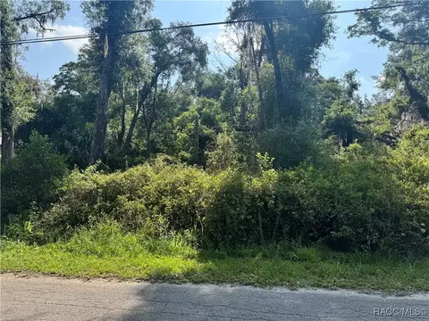 4785 S Silver Fox Ter, Inverness, FL 34452