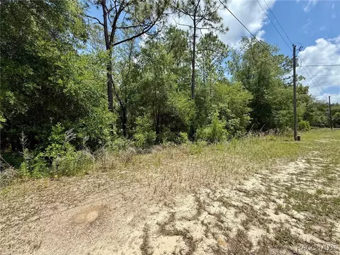 8445 N Foresome Way, Citrus Springs, FL 34434
