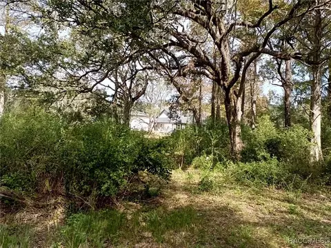 7966 E Leaf Ct, Inverness, FL 34453 photo 2