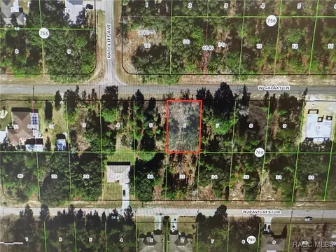 2256 W Galaxy Ln, Citrus Springs, FL 34434