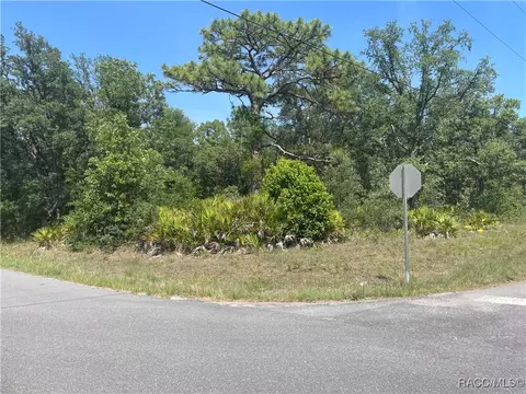 6645 W Erlen Ln, Homosassa, FL 34448