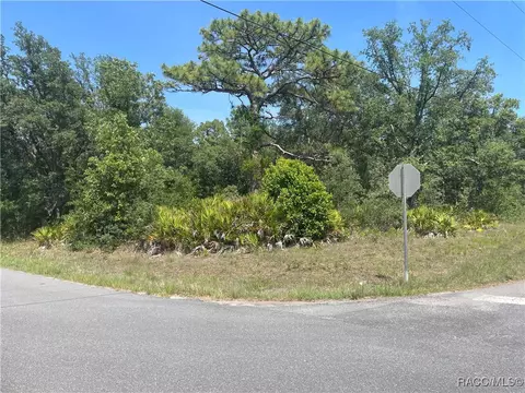 6645 W Erlen Ln, Homosassa, FL 34448