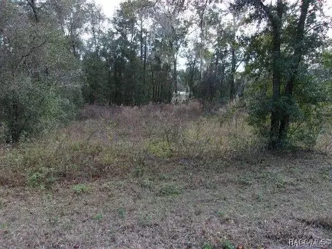 6700 E Haynes Ln, Inverness, FL 34452