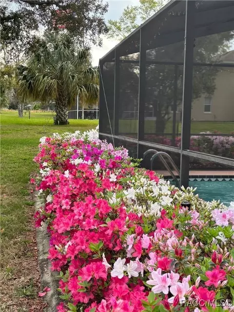 Exterior - 705 E Dakota Ct, Hernando, FL 34442 photo 9 of 19