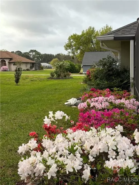 Exterior - 705 E Dakota Ct, Hernando, FL 34442 photo 19 of 19