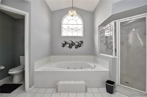 Bath - 705 E Dakota Ct, Hernando, FL 34442 photo 3 of 5