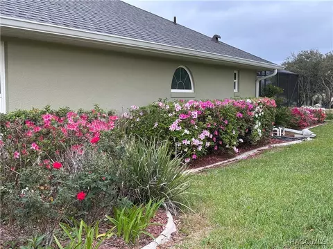 Exterior - 705 E Dakota Ct, Hernando, FL 34442 photo 16 of 19