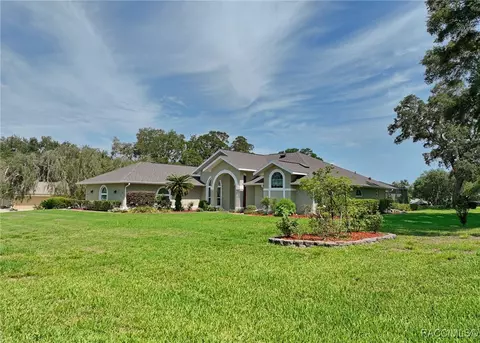 Exterior - 705 E Dakota Ct, Hernando, FL 34442 photo 11 of 19