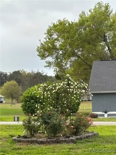 Other - 705 E Dakota Ct, Hernando, FL 34442 photo 14 of 14