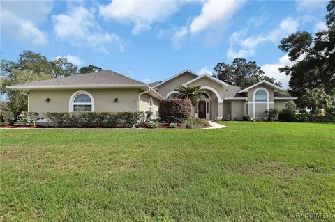 Exterior - 705 E Dakota Ct, Hernando, FL 34442 photo 12 of 19