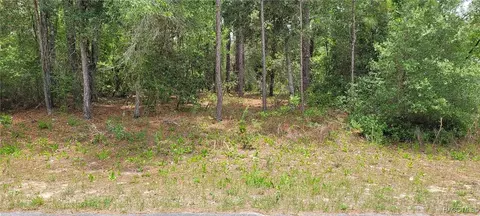 9169 N Saponaria Dr, Citrus Springs, FL 34433