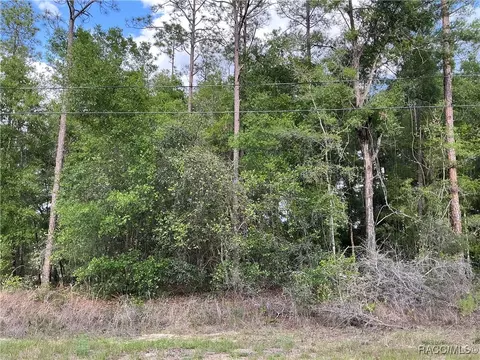 8479 N Wallingford Ave, Citrus Springs, FL 34434