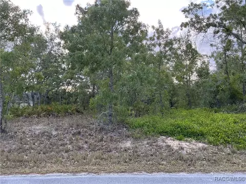 21 Smilax Ct N, Homosassa, FL 34446