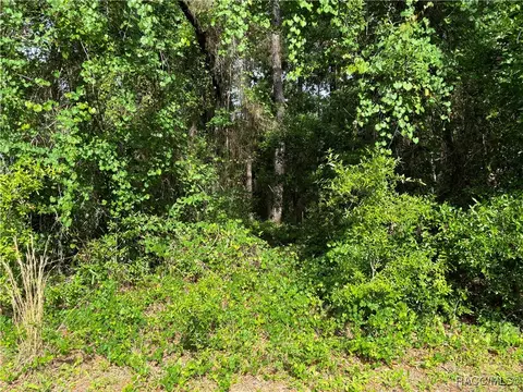 11312 N Fuego Dr, Citrus Springs, FL 34434