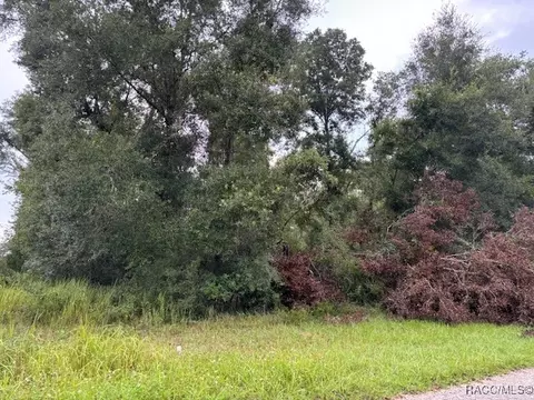 9299 N Sagamore Ter, Citrus Springs, FL 34434