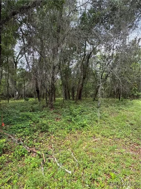 984 E Kingsdale St, Dunnellon, FL 34434