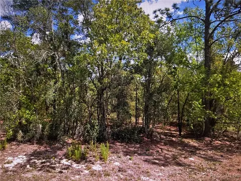 2363 E Cambridge Ln, Inverness, FL 34453