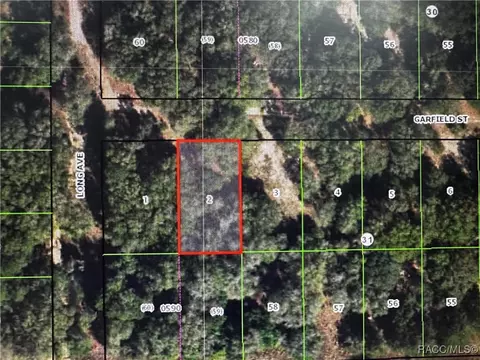 2607 Garfield St, Inverness, FL 34453
