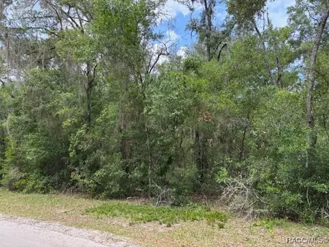 9704 N Feigel Ter, Crystal River, FL 34428 photo 2