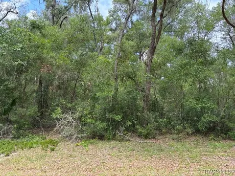 9704 N Feigel Ter, Crystal River, FL 34428