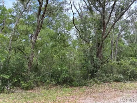 9704 N Feigel Ter, Crystal River, FL 34428 photo 5