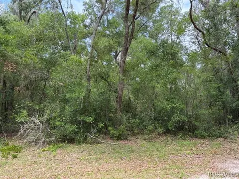 9704 N Feigel Ter, Crystal River, FL 34428 photo 4