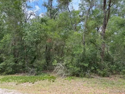 9704 N Feigel Ter, Crystal River, FL 34428 photo 3